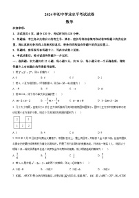 2024年内蒙古包头市中考数学模拟试卷（原卷版）