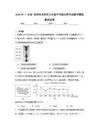 2025年广东省深圳市龙华区九年级中考适应性考试数学模拟测试试卷