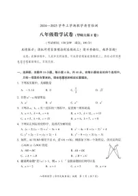 福建省漳州市2024—-2025学年八年级上学期期末教学质量检测数学试题（华东师大版B卷）