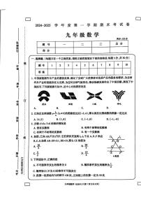 河南省周口市鹿邑县2024-2025学年九年级上学期1月期末数学试题