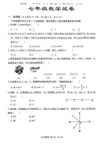 湖北省武汉市东西湖区2024-2025学年上学期七年级数学期末试卷