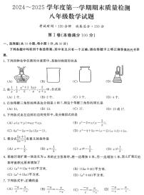 湖北省武汉市江汉区2024-2025学年八年级上学期期末数学试卷