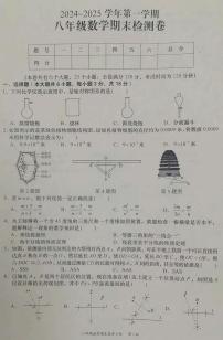 江西省赣州市于都县2024-2025学年八年级上学期数学期末试卷