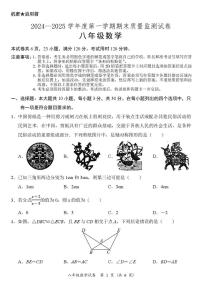 广东省阳江市江城区 2024-2025学年八年级上学期期末考试数学试卷