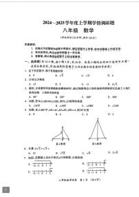 广西壮族自治区桂林市2024-2025学年八年级上学期期末考试数学试题