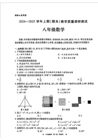 河南省鹤壁市2024-2025学年上学期八年级期末数学试卷
