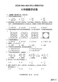 河南省三门峡市灵宝市2024-2025学年八年级上学期1月期末考试数学试题
