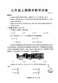 河南省新乡市2024-2025学年九年级上学期1月期末考试数学试题