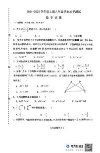 河南省信阳市淮滨县2024-2025学年八年级上学期1月期末考试数学试题