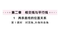 初中数学第二章 相交线与平行线1 两条直线的位置关系作业ppt课件