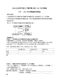 初中数学鲁教版（五四学制）（2024）七年级下册3 二元一次方程组的应用导学案