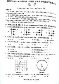 湖北随州2024-2025学年九年级上学期1月期末数学试题