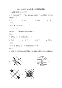 湖北省武汉市蔡甸区2024-2025学年九年级上学期期中 数学试卷（解析版）