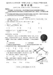浙江省温州市2024-2025学年九年级上学期期末统考数学试卷