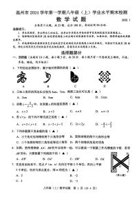 浙江温州2024-2025学年八年级上学期期末统考数学试卷+答案