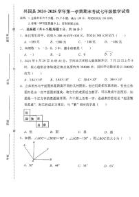 江西省赣州市兴国县2024-2025学年七年级上学期1月期末数学试题