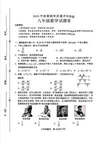 南阳市2024-2025学年九年级上学期1月期末数学试题