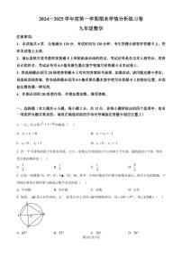 江苏省南京市联合体2024--2025学年九年级上学期期末数学试卷（附解析版）
