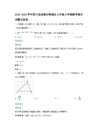 2023-2024学年四川省成都市郫都区九年级上学期数学期末试题及答案