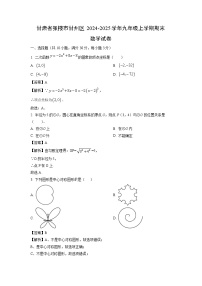 2024~2025学年甘肃省张掖市甘州区九年级上学期期末数学试卷（解析版）