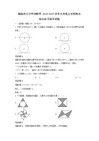 2024~2025学年湖南省长沙市浏阳市九年级上学期期末综合练习数学试卷（解析版）