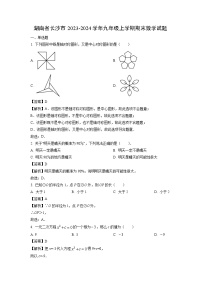 2023~2024学年湖南省长沙市九年级上学期期末数学试卷（解析版）