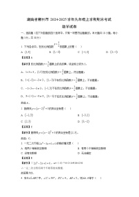 2024~2025学年湖南省郴州市九年级上学期期末考试数学试卷（解析版）