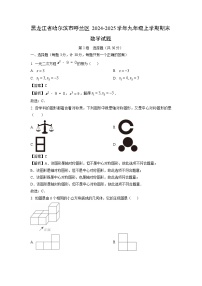 2024~2025学年黑龙江省哈尔滨市呼兰区九年级上学期期末数学试卷（解析版）