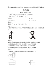 2024~2025学年黑龙江省哈尔滨市呼兰区九年级上学期期末数学试卷（解析版）
