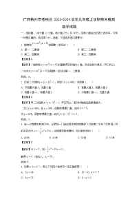 2023~2024学年广西梧州市苍梧县九年级上学期期末检测数学试卷（解析版）