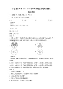 2024~2025学年广东省珠海市九年级上学期期末模拟数学试卷（解析版）