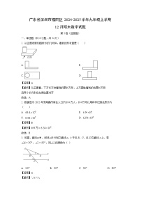 2024~2025学年广东省深圳市福田区九年级上学期12月期末数学试卷（解析版）