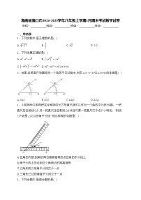 海南省海口市2024-2025学年八年级上学期1月期末考试数学试卷(含答案)