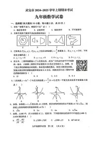 三门峡灵宝市2024-2025学年九年级上学期期末数学试卷