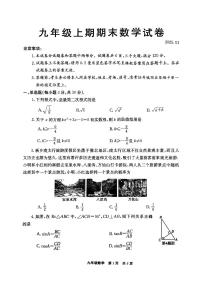 河南省新乡市辉县市2024-2025学年九年级上学期1月期末数学试题及答案