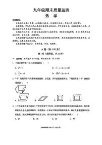 四川省成都市青羊区2024-2025学年九年级上学期期末考试 数学试卷
