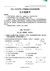 四川省成都市高新区2024-2025学年九年级上学期期末考试 数学试卷（原卷+参考答案）