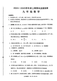 河南省周口市川汇区2024-2025学年九年级上学期末考试数学试题【含答案】