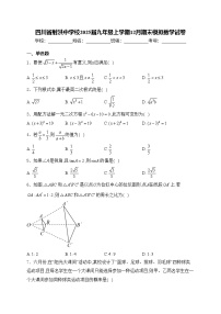四川省射洪中学校2025届九年级上学期12月期末模拟数学试卷(含答案)