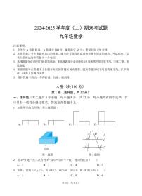 2024-2025学年成都锦江区九上数学期末考试试卷【含答案】