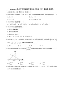 2024-2025学年广东省揭阳市惠来县八年级（上）期末数学试卷