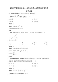 2023-2024学年安徽省芜湖市九年级上学期期末模拟考试数学试卷（解析版）