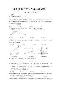 浙教版（2024）七年级下册（2024）1.3 平行线当堂检测题