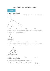 北师大版（2024）八年级下册第一章 三角形的证明2 直角三角形综合训练题