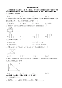 江西省吉安市遂川县2024年中考模拟数学试题附答案