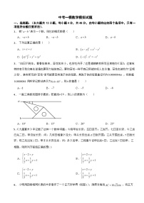 四川省德阳市旌阳区2024年中考一模数学模拟试题附答案