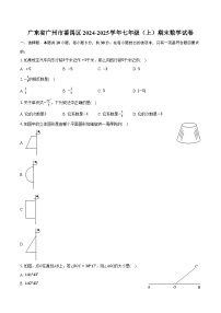 广东省广州市番禺区2024-2025学年七年级（上）期末数学试卷