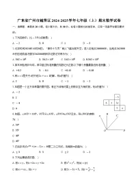 广东省广州市越秀区2024-2025学年七年级（上）期末数学试卷