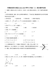 河南省洛阳市嵩县2024-2025学年八年级（上）期末数学试卷