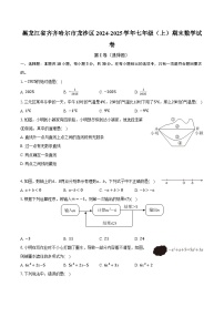 黑龙江省齐齐哈尔市龙沙区2024-2025学年七年级（上）期末数学试卷